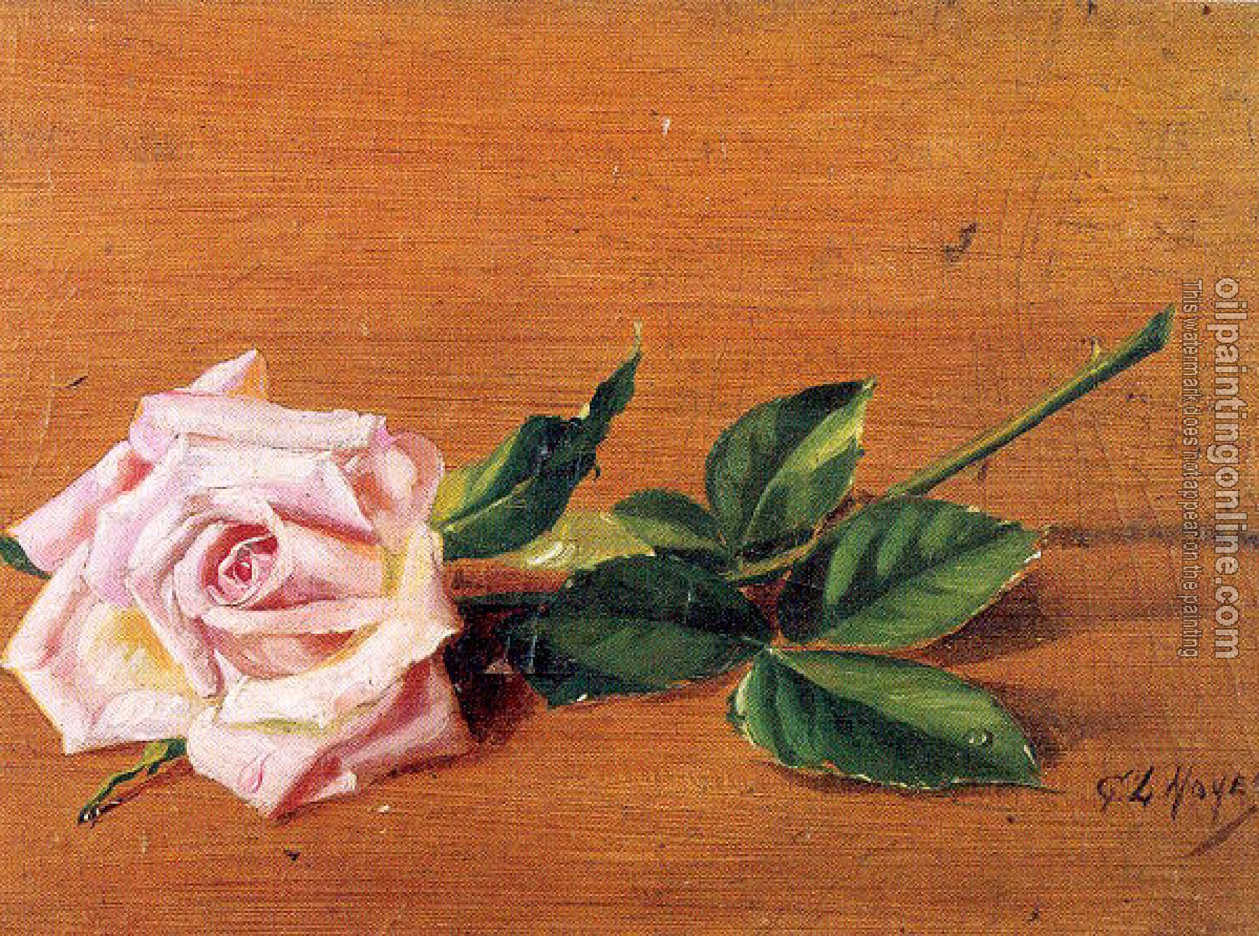 Noyes, George Loftus - Rose